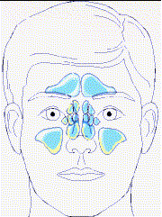 Irrigador Nasal Grossan