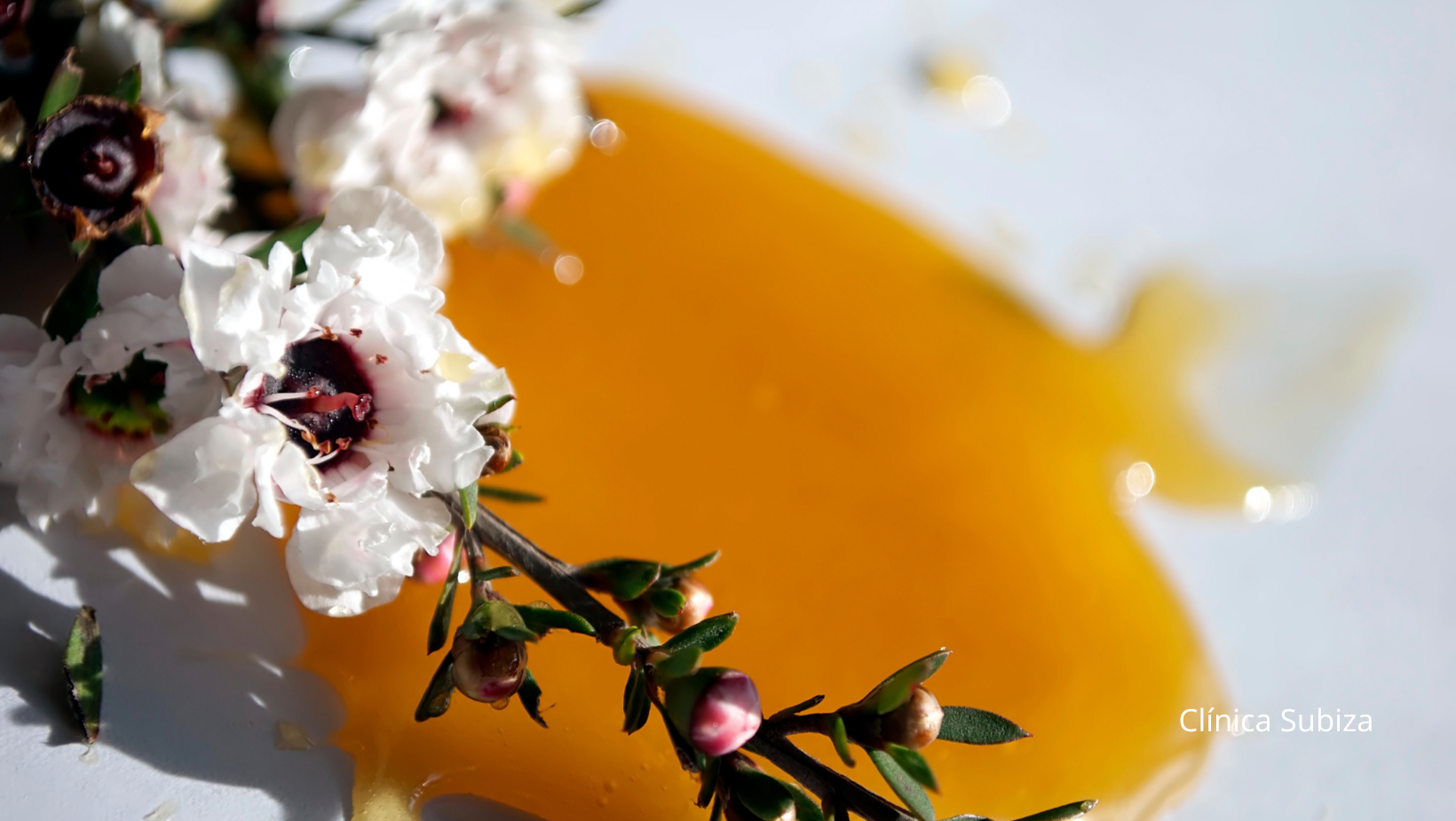 miel de manuka miel de manuka