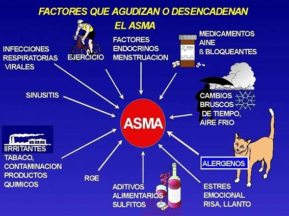 Por que se produce el asma