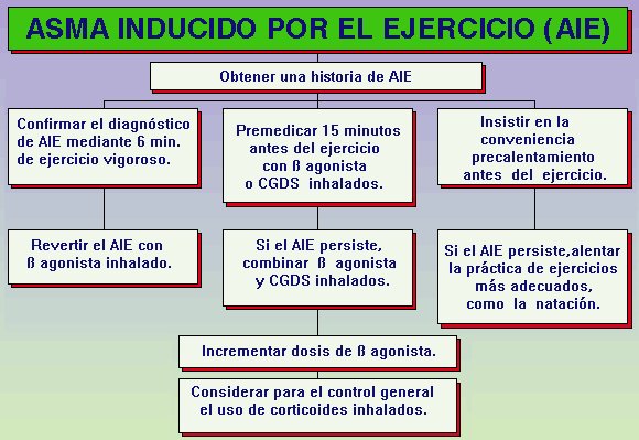 Asma inducido por el ejercicio