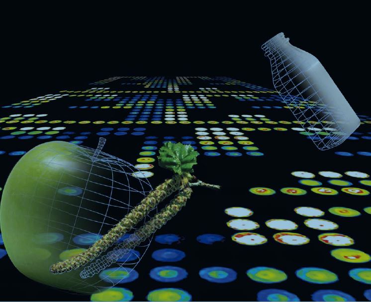 Prueba del Microarray - Clínica Subiza